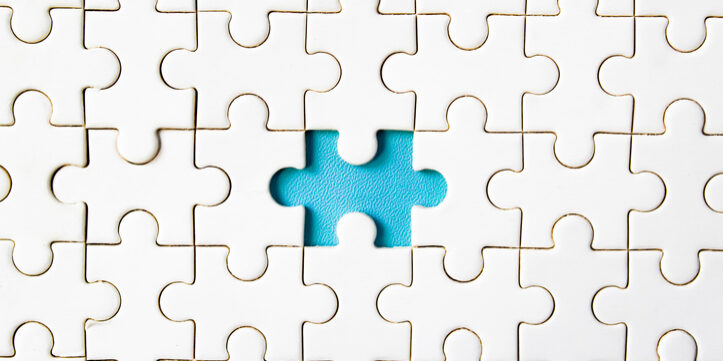 missing piece of the jigsaw puzzle